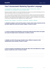 Free Figurative Language Assessment | Year 5 Greater Depth | BookFlik