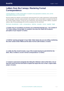 Free Letter Writing Activity Sheet | Year 5 Greater Depth | BookFlik