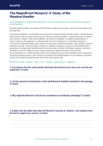 Free Non Chronological Reports Comprehension | Year 5 Greater Depth | BookFlik