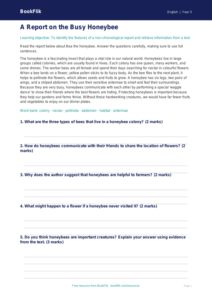 Free Report Writing Comprehension | Year 3 Core | BookFlik