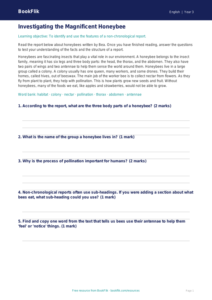 Free Report Writing Track Sheet | Year 3 Core | BookFlik