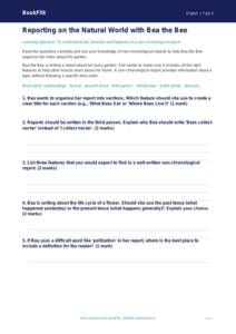 Free Report Writing Worksheet | Year 3 Core | BookFlik