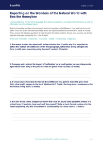 Free Report Writing Activity Sheet | Year 5 Greater Depth | BookFlik