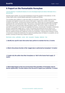 Free Report Writing Comprehension | Year 5 Greater Depth | BookFlik