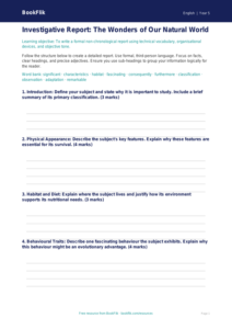 Free Report Writing Template | Year 5 Greater Depth | BookFlik