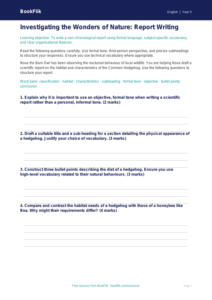 Free Report Writing Worksheet | Year 5 Greater Depth | BookFlik