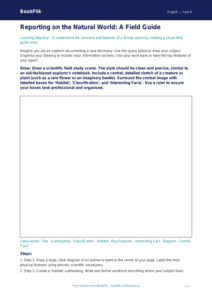 Free Report Writing Drawing Sheet | Year 6 Core | BookFlik