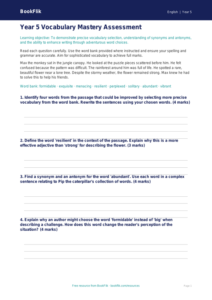 Free Vocabulary Assessment | Year 5 Greater Depth | BookFlik