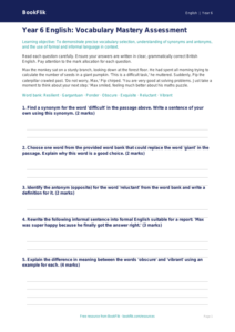 Free Vocabulary Assessment | Year 6 Core | BookFlik