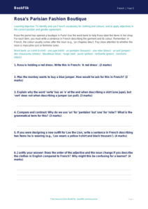 Free Clothes Activity Sheet | Year 5 Greater Depth | BookFlik