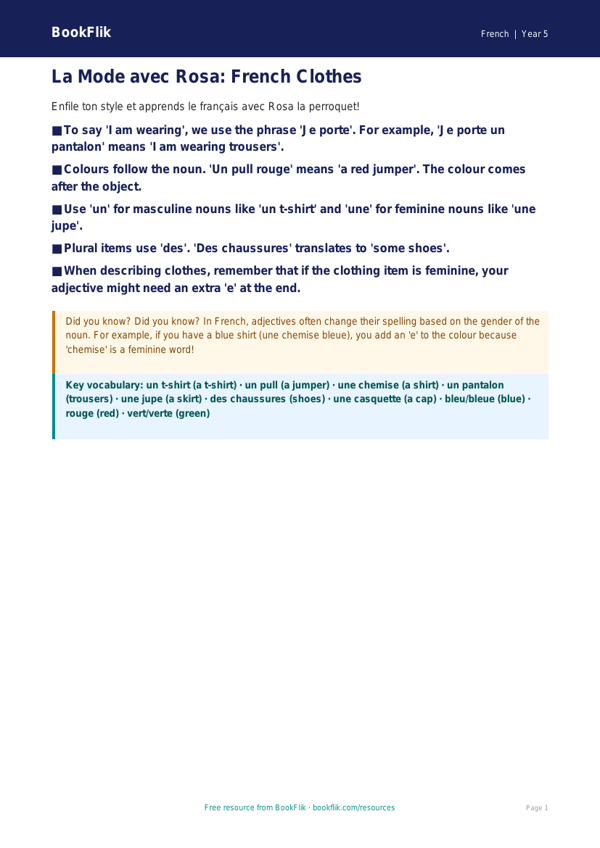 Free Clothes Poster | Year 5 Greater Depth | BookFlik worksheet preview — French Clothes
