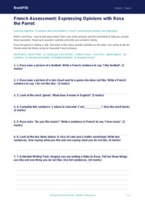 Free Opinion Phrases Assessment | Year 4 Supported | BookFlik