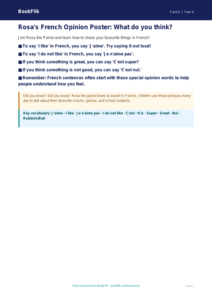 Free Opinion Phrases Poster | Year 4 Supported | BookFlik