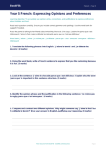 Free Opinion Phrases Assessment | Year 5 Greater Depth | BookFlik