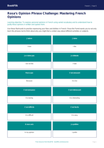 Free Opinion Phrases Flashcards | Year 5 Greater Depth | BookFlik