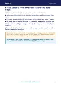 Free Opinion Phrases Poster | Year 5 Greater Depth | BookFlik