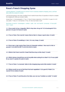 Free Shopping Quiz | Year 5 Greater Depth | BookFlik