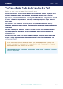 Free Slavery Poster | Year 5 Greater Depth | BookFlik