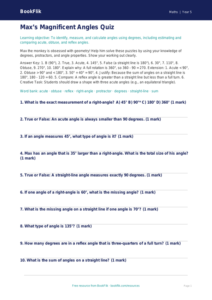 Free Angles Quiz | Year 5 Greater Depth | BookFlik