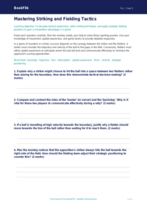 Free Striking And Fielding Worksheet | Year 5 Greater Depth | BookFlik