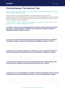 Free First Aid Activity Sheet | Year 5 Greater Depth | BookFlik