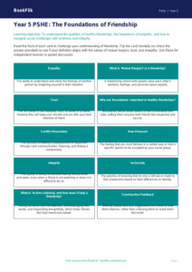 Free Friendship Flashcards | Year 5 Greater Depth | BookFlik