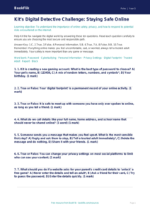 Free Online Safety Quiz | Year 5 Greater Depth | BookFlik