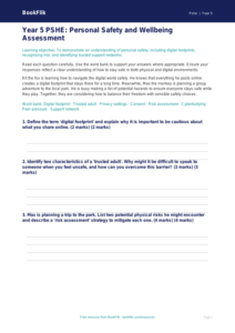 Free Personal Safety Assessment | Year 5 Greater Depth | BookFlik