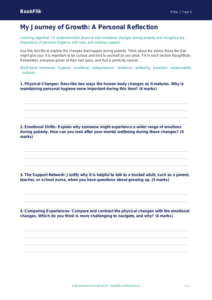 Free Puberty Template | Year 5 Greater Depth | BookFlik