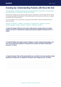 Free Puberty Writing Frame | Year 5 Greater Depth | BookFlik