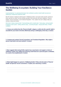 Free Wellbeing Activity Sheet | Year 5 Greater Depth | BookFlik