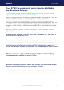 Free Wellbeing Assessment | Year 5 Greater Depth | BookFlik