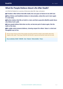 Free Life After Death Poster | Year 4 Supported | BookFlik