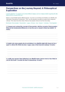 Free Life After Death Activity Sheet | Year 5 Greater Depth | BookFlik