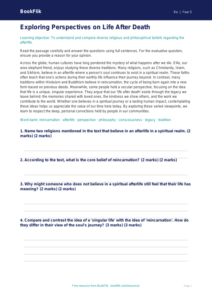 Free Life After Death Comprehension | Year 5 Greater Depth | BookFlik