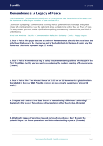 Free Remembrance Day Activity Sheet | Year 5 Greater Depth | BookFlik