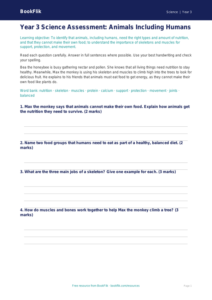 Free Animals Including Humans Assessment | Year 3 Core | BookFlik