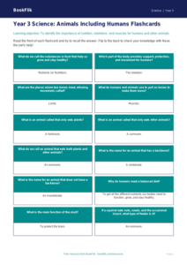 Free Animals Including Humans Flashcards | Year 3 Core | BookFlik