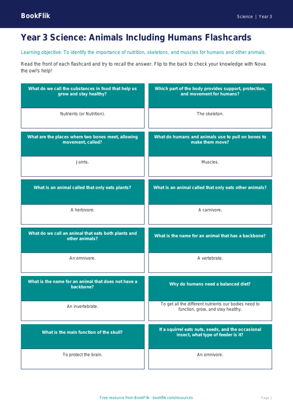 Free Animals Including Humans Flashcards | Year 3 Core | BookFlik worksheet preview — Science Animals Including Humans