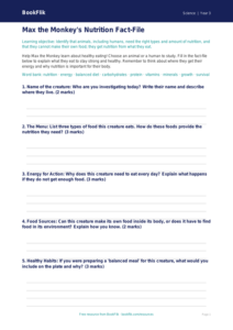 Free Animals Including Humans Template | Year 3 Core | BookFlik