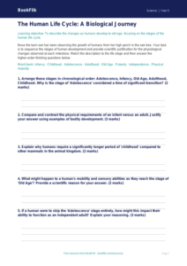 Free Animals Including Humans Activity Sheet | Year 5 Greater Depth | BookFlik