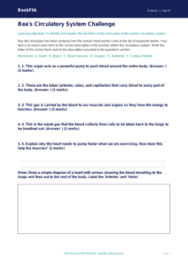 Free Animals Including Humans Activity Sheet | Year 6 Core | BookFlik