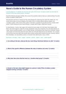 Free Animals Including Humans Comprehension | Year 6 Core | BookFlik