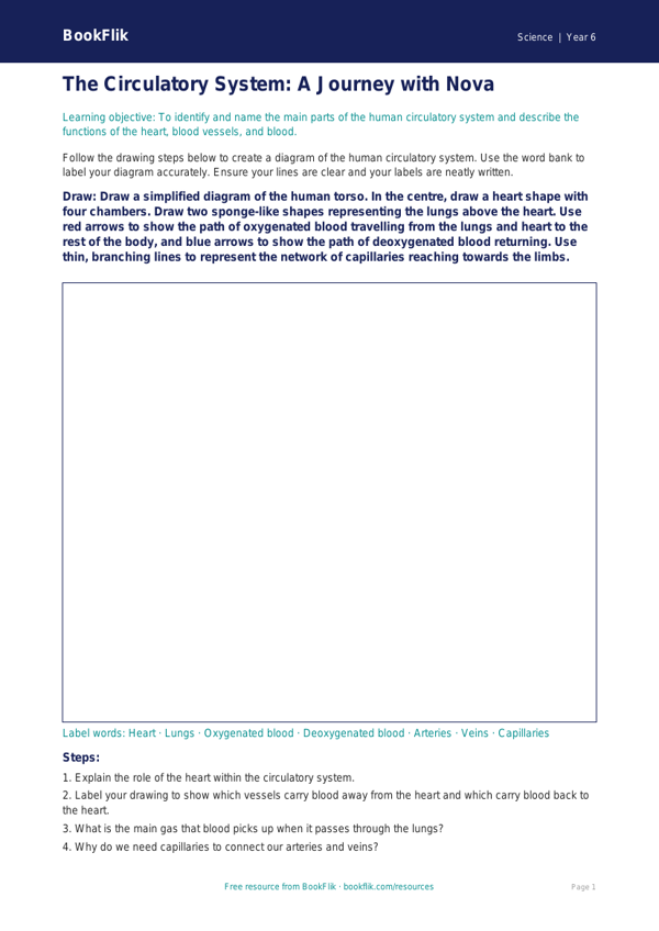 Free Animals Including Humans Drawing Sheet | Year 6 Core | BookFlik worksheet preview — Science Animals Including Humans