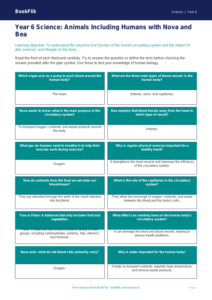 Free Animals Including Humans Flashcards | Year 6 Core | BookFlik