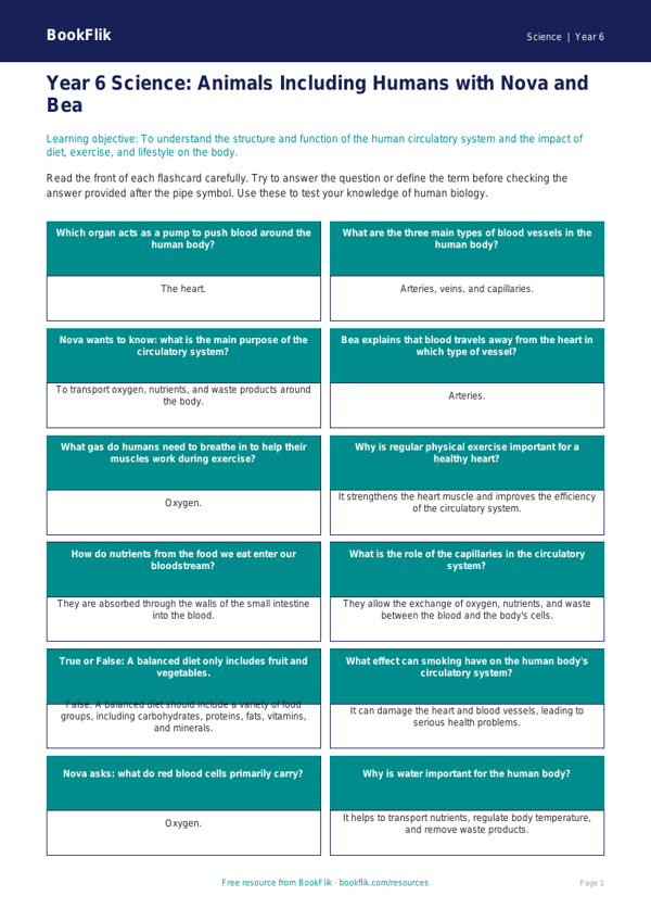 Free Animals Including Humans Flashcards | Year 6 Core | BookFlik worksheet preview — Science Animals Including Humans