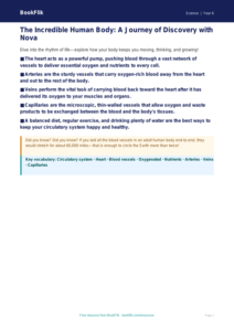 Free Animals Including Humans Poster | Year 6 Core | BookFlik