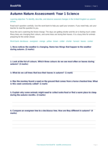 Free Autumn Science Assessment | Year 1 Core | BookFlik