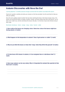 Free Autumn Science Worksheet | Year 1 Core | BookFlik