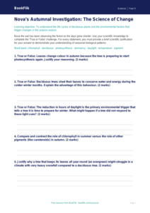 Free Autumn Science Activity Sheet | Year 5 Greater Depth | BookFlik